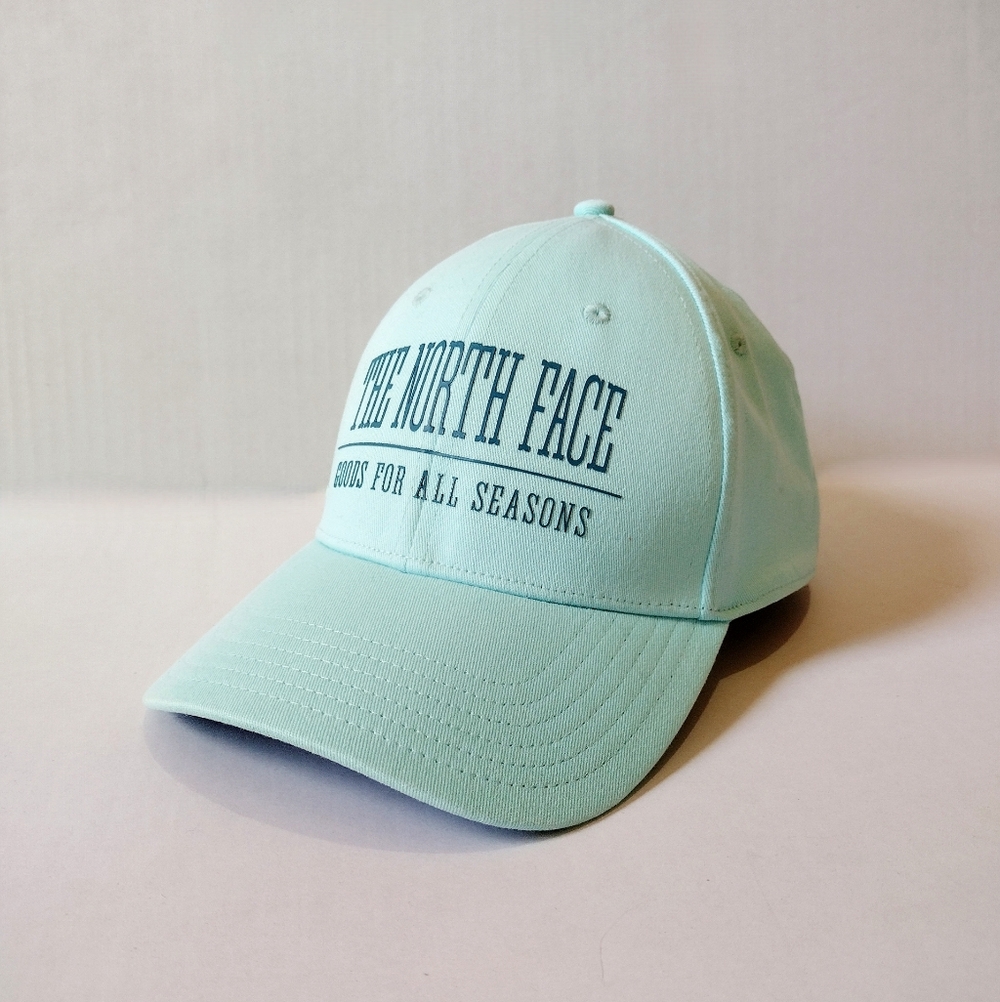 The North Face Blue Turquoise Baseball Hat/ Snapback